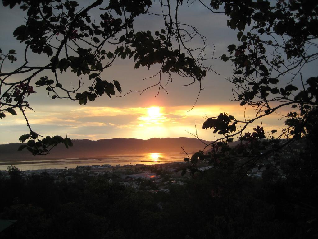 Mount Joy Cottages Knysna Buitenkant foto